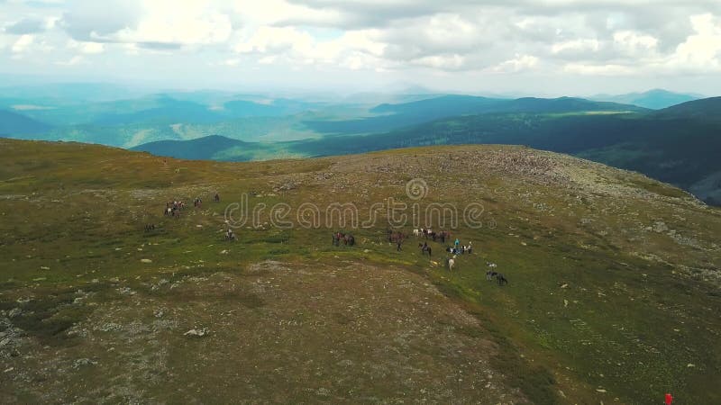Groupe de personnes aux voyages d'? quitation en montagnes d'Altai clip Groupe de personnes de touristes mouvements? cheval le lo banque de vidéos