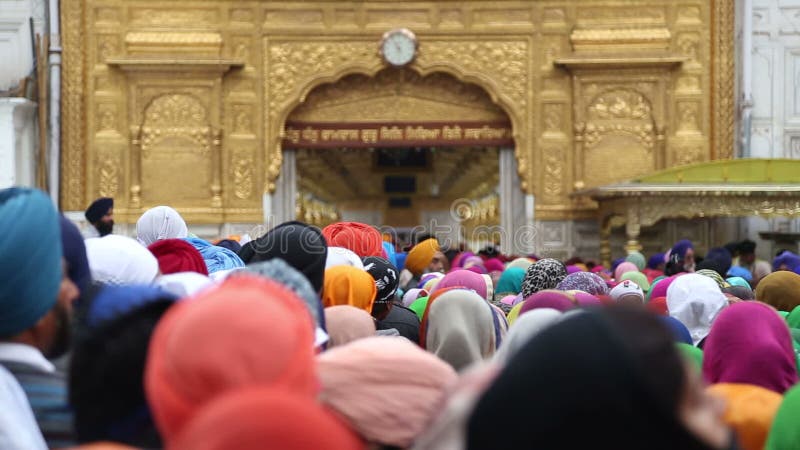 Groupe de personnes devant le temple d'or, vue d'arrière des têtes couvertes banque de vidéos