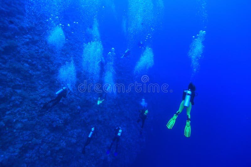 Groupe de plongeurs autonomes images stock Groupe de plongeurs autonomes images stock