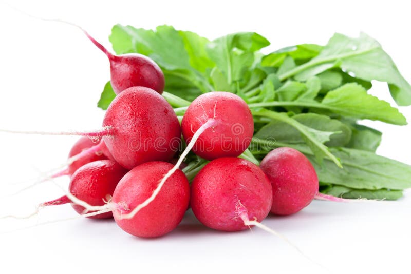 Un bouquet de radis photo stock