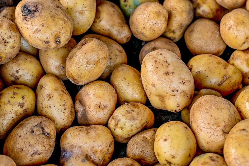 Groupe frais propre de pommes de terre