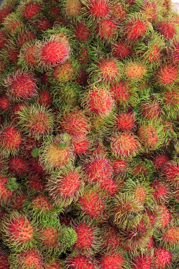 Groups of rambutan