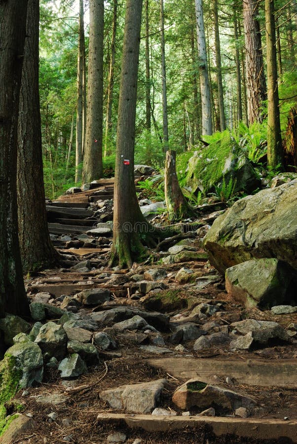 Grouse grind hiking trail royalty free stock image Grouse grind hiking trail royalty free stock image