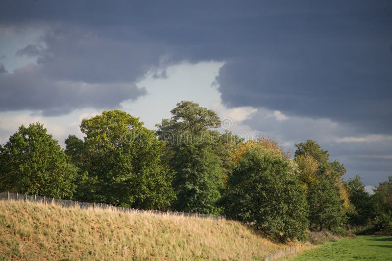 Grove behind a slope in the interplay of sun and clouds. Dramatic sky. Overcast grove stock images, royalty-free photos and pictures