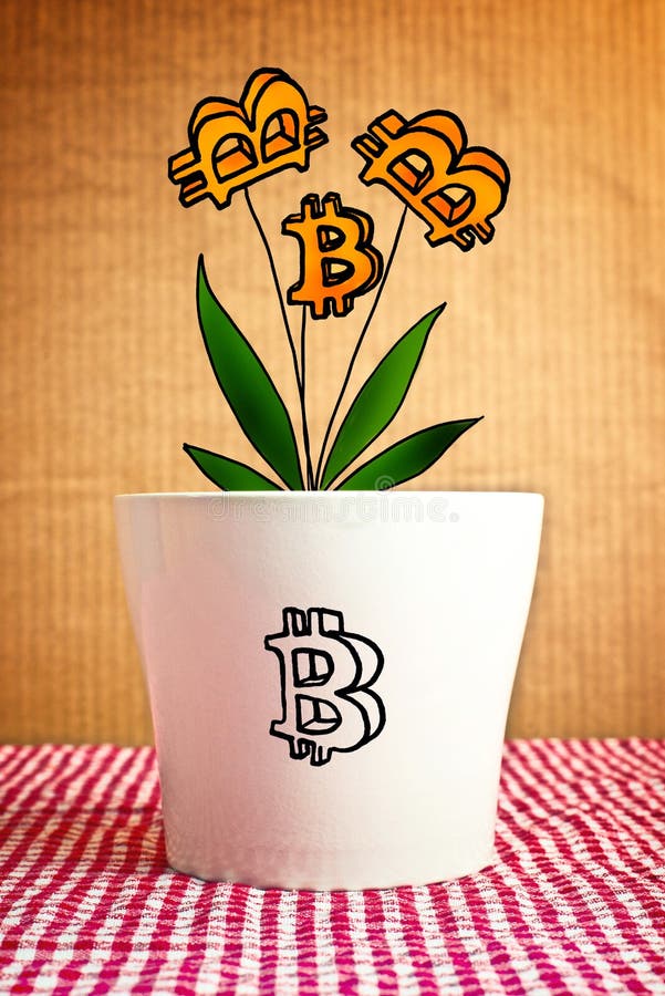 Growing Bitcoins in Flower Pot, Conceptual Image Stock Image Image of