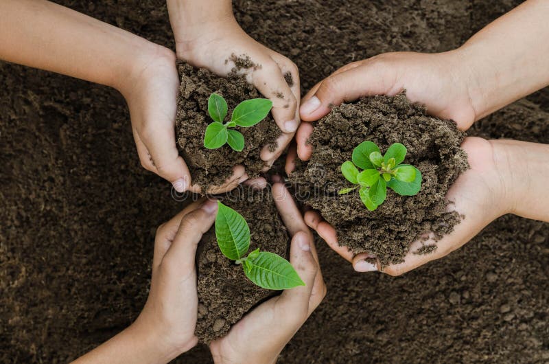 Growing concept eco Group hand children planting together