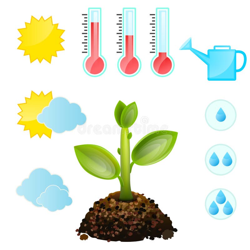 Growing and Conditions of Plants, Symbol Set Stock Vector ...