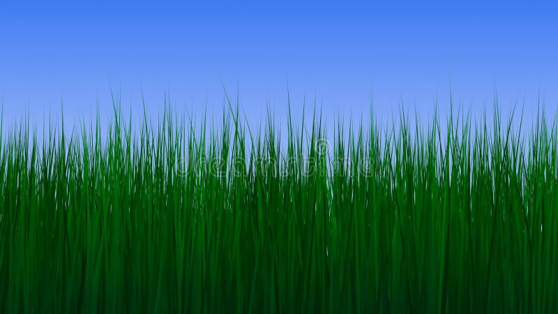 Growing 3d grass