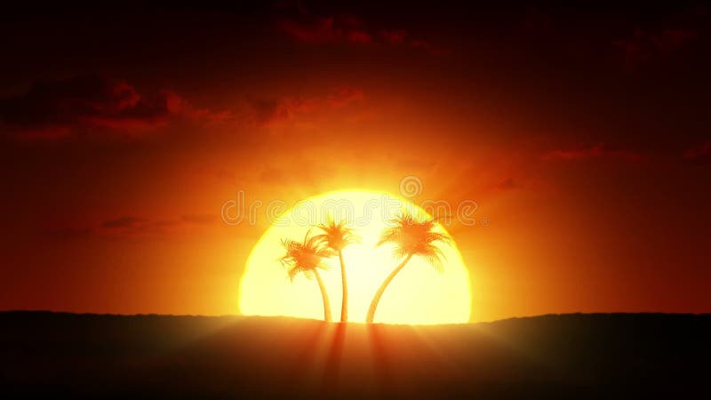 Growing palm trees at sunrise