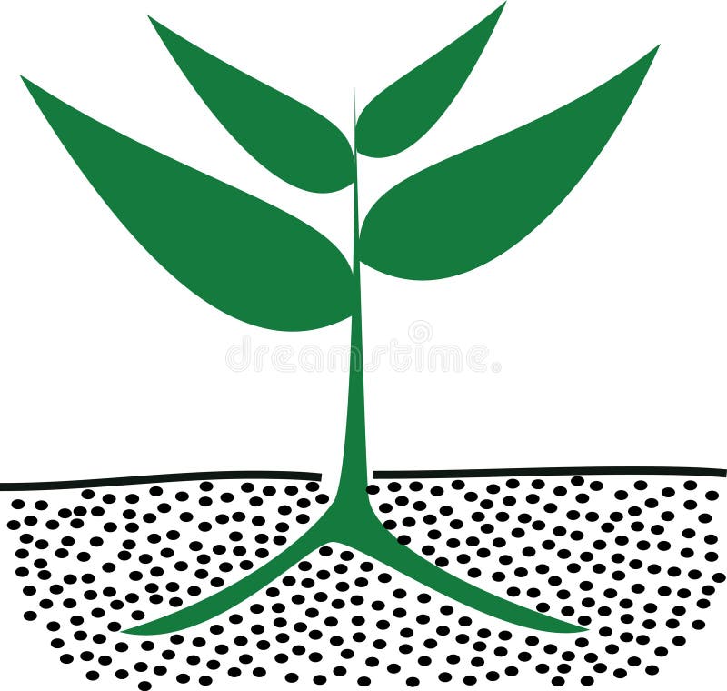 Growing plants in soil stock vector. Illustration of vector 64935889