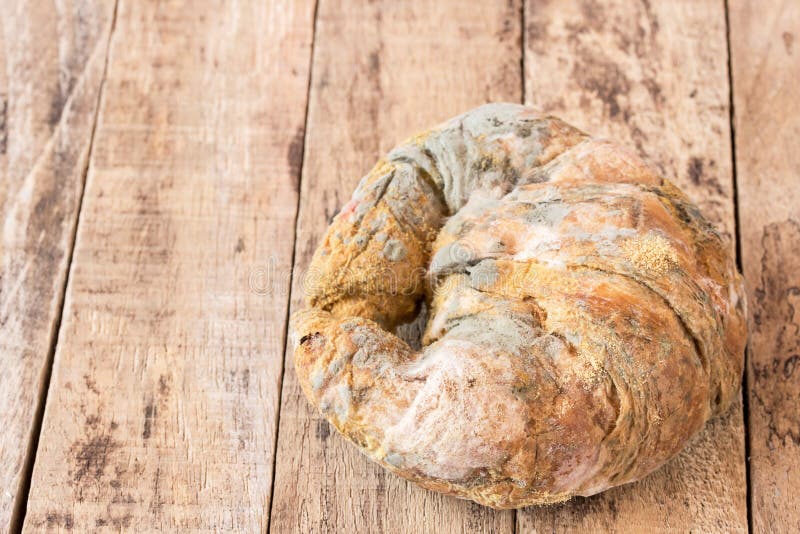 Growing Rapidly on Moldy Bread in Green and White Spores in Hand Stock