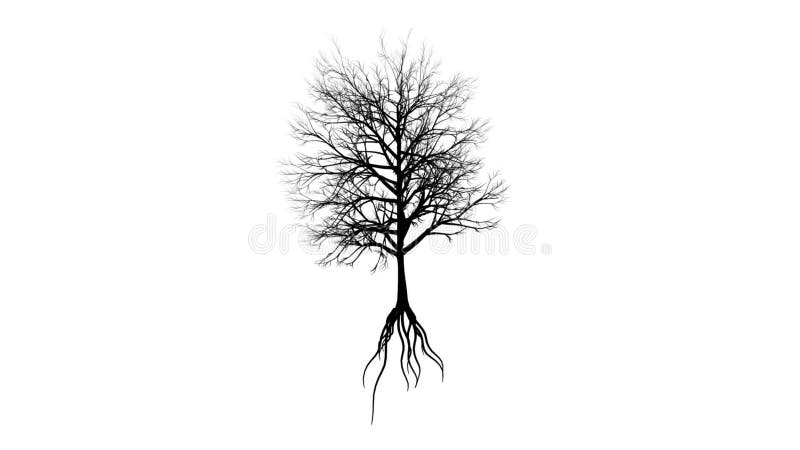 Growing Tree (Alpha Version)