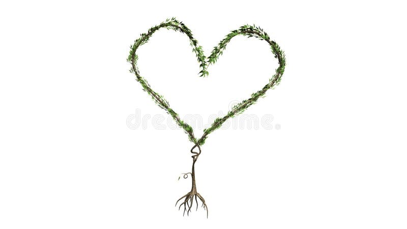 Growing Tree forming Heart(Color Version)