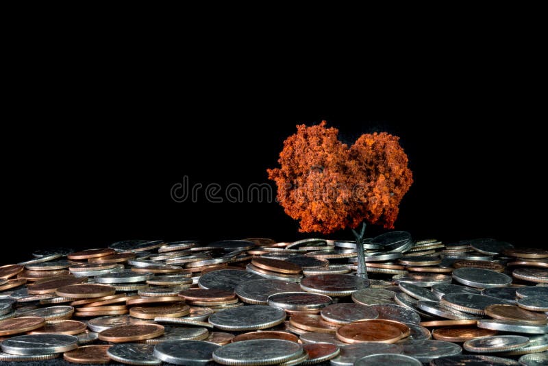 Growing Your Money stock photography Growing Your Money stock photography