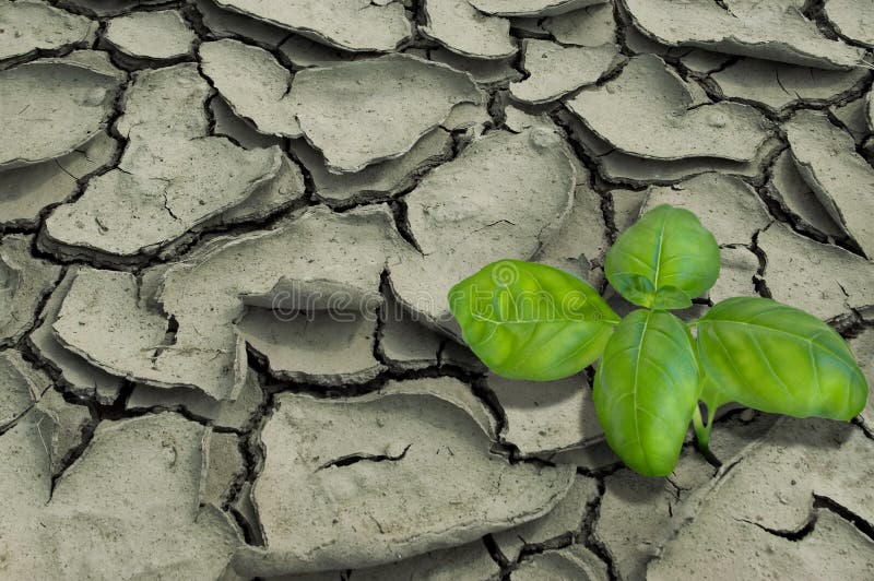 Growth stock photography