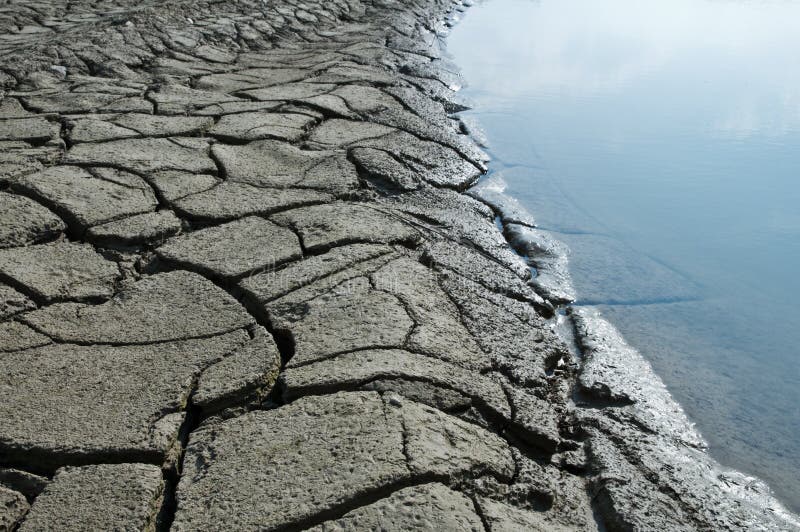 Growth stock photography