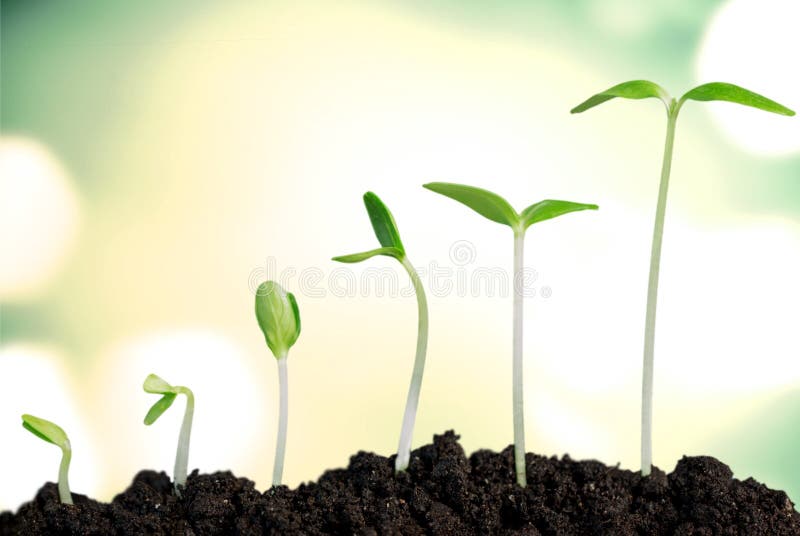 Growth stock images Growth stock images
