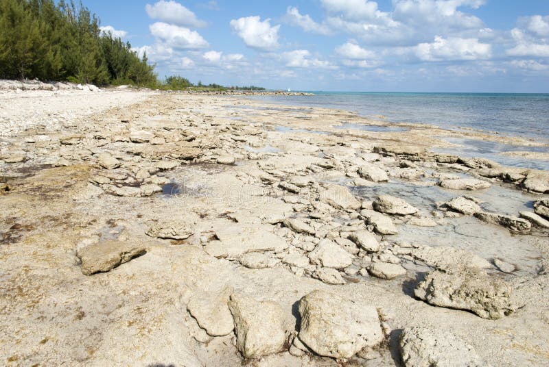 Großartiger Bahama Rocky Beach stockfotos Großartiger Bahama Rocky Beach stockfotos