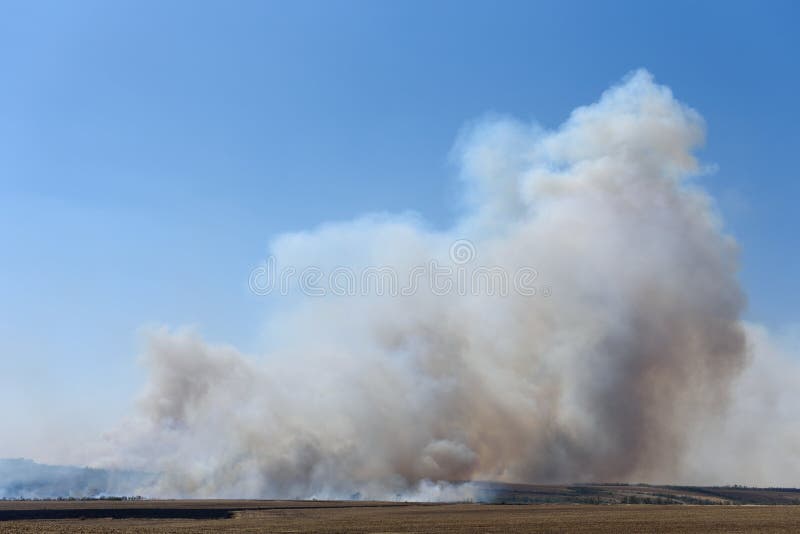 Große Brand im Wald und auf dem Gebiet Höchststand des dichten Rauch im Himmel lizenzfreies stockfoto