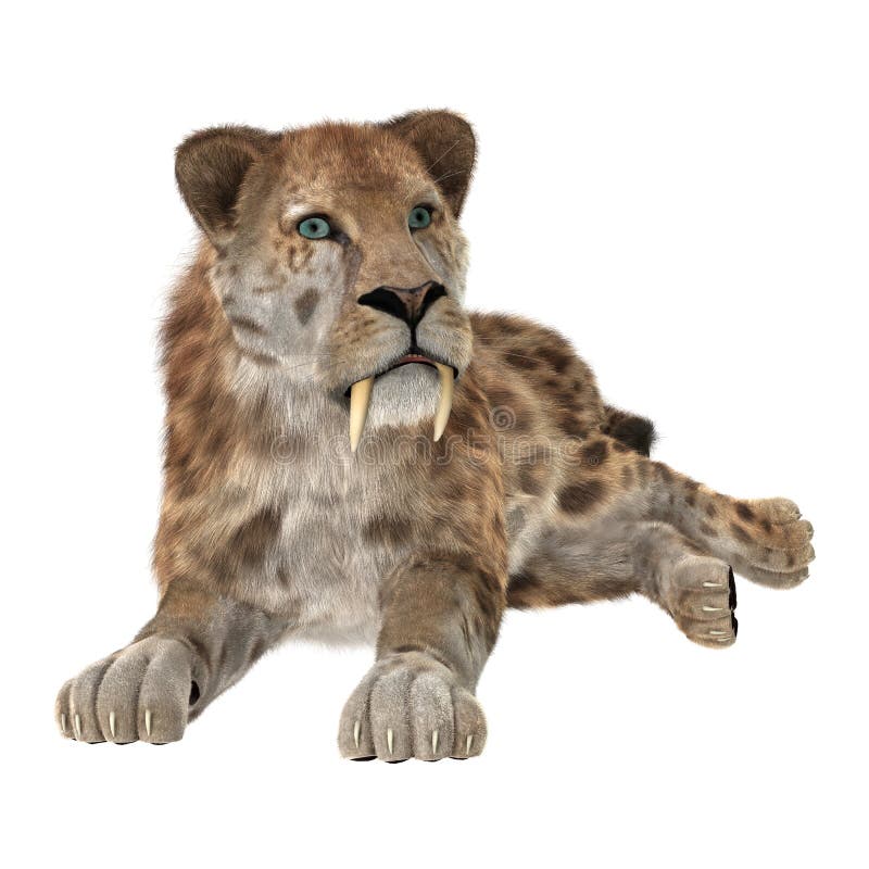 Große Cat Sabertooth lizenzfreie stockfotografie Große Cat Sabertooth lizenzfreie stockfotografie