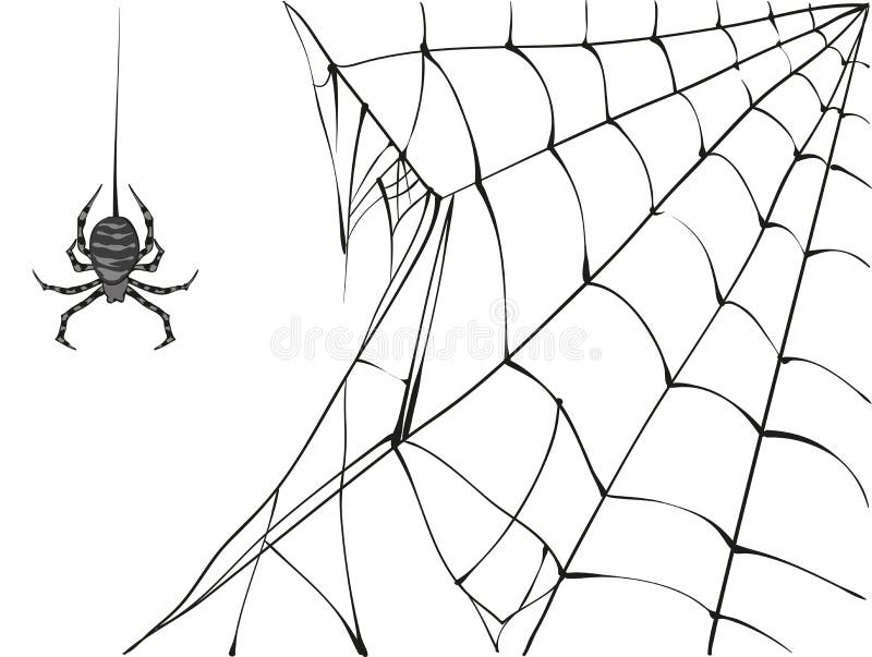 Große schwarze Spinne und Netz auf weißem Hintergrund stock abbildung Große schwarze Spinne und Netz auf weißem Hintergrund stock abbildung