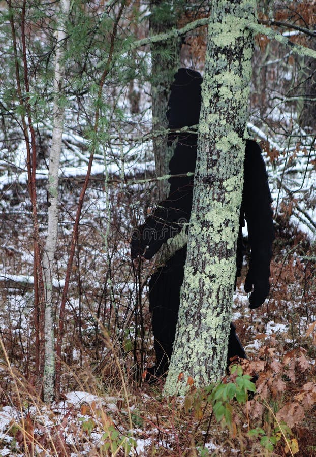 Big foot walking through a mature forest of oak and pine trees. Big foot walking through a mature forest of oak and pine trees.