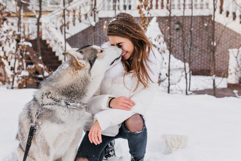Großer Hund, der das Gesicht des Mädchens während des Winterwegs leckt Foto im Freien der entzückenden brunette Frau, die Zeit mi lizenzfreies stockbild Großer Hund, der das Gesicht des Mädchens während des Winterwegs leckt Foto im Freien der entzückenden brunette Frau, die Zeit mi lizenzfreies stockbild