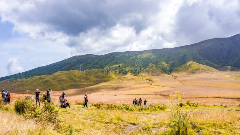 Großer Savannen-Berg-Bromo-Sommer stockfotos Großer Savannen-Berg-Bromo-Sommer stockfotos