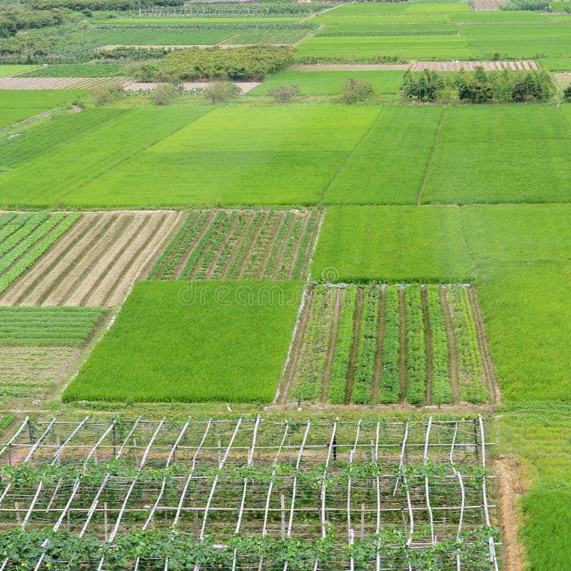 Große grüne Farmlandschaft lizenzfreies stockfoto