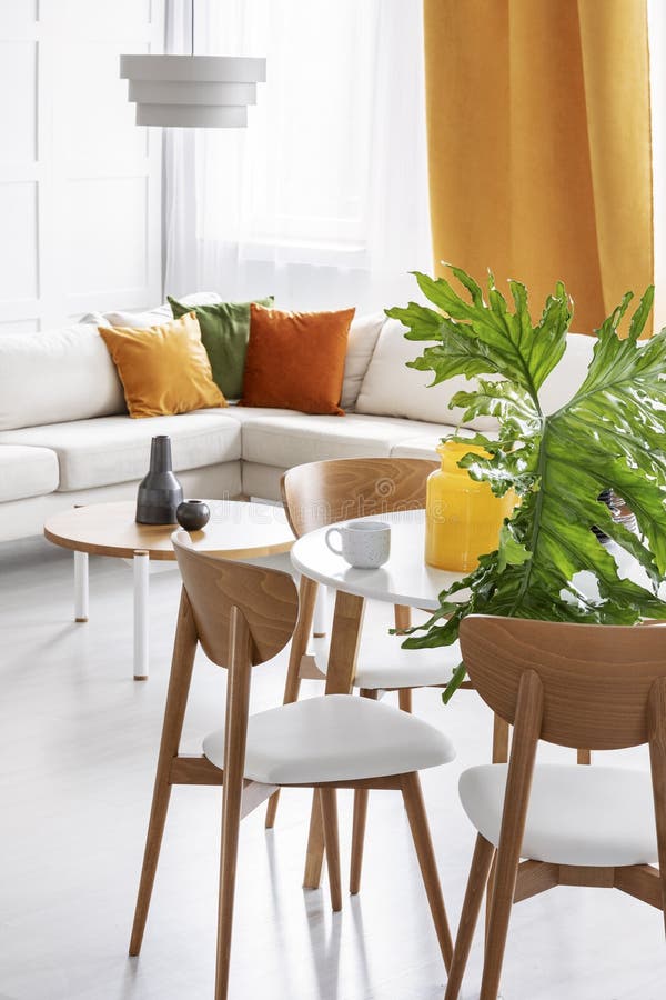 Großes grünes Blatt im Glasvase auf dem Holztisch im bunten Wohnzimmer der stilvollen Wohnung stockfotografie Großes grünes Blatt im Glasvase auf dem Holztisch im bunten Wohnzimmer der stilvollen Wohnung stockfotografie