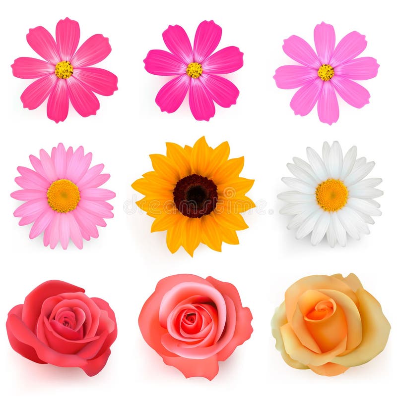 Großes Set schöne bunte Blumen. vektor abbildung Großes Set schöne bunte Blumen. vektor abbildung
