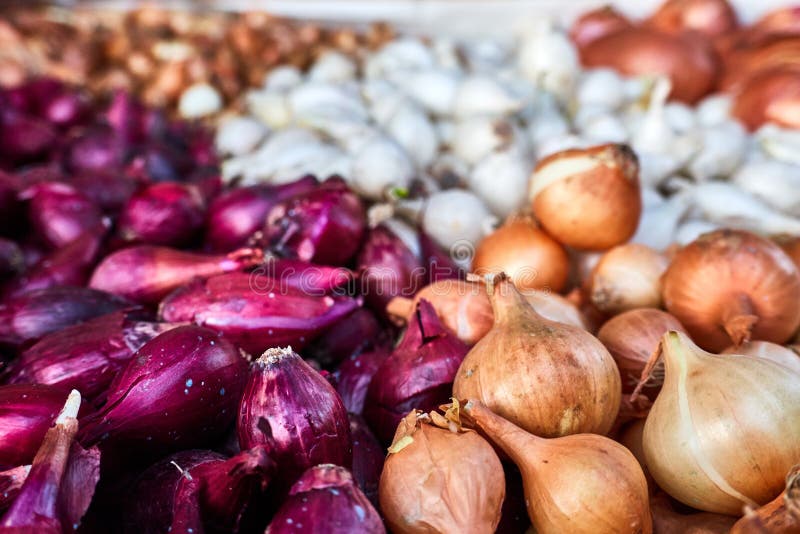 Großes Sortiment der Zwiebelnahaufnahme lizenzfreie stockbilder