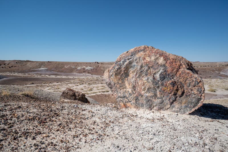 Großes Stück der Spalte des versteinerten Holzes, die jetzt den prehistroic Klotz zu Kristallsteinmineralien am versteinerten Wal stockbild Großes Stück der Spalte des versteinerten Holzes, die jetzt den prehistroic Klotz zu Kristallsteinmineralien am versteinerten Wal stockbild