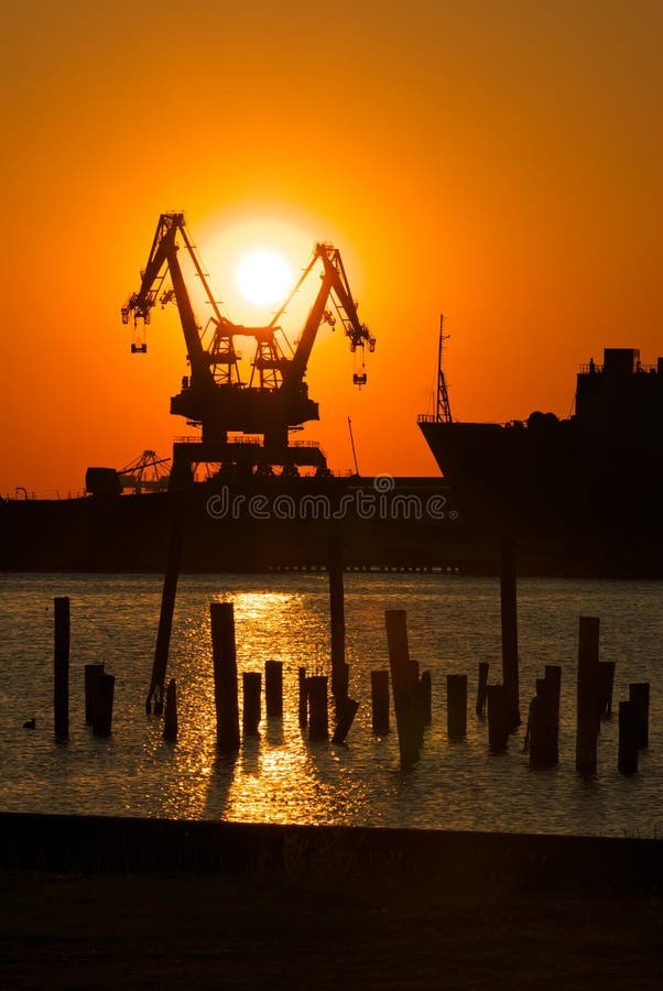 Gru industriali al tramonto fotografia stock Gru industriali al tramonto fotografia stock