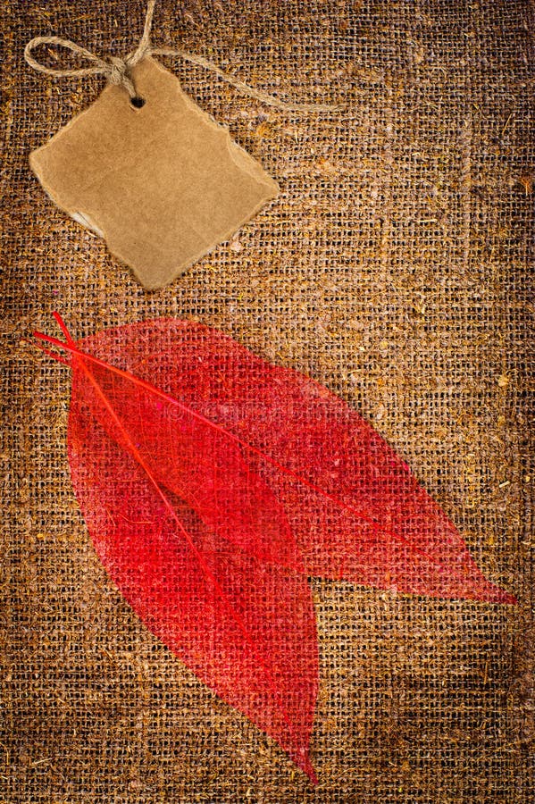 Grunge autumn background with dried leaves and cardboard on rope with space for your text on canvas. Grunge autumn background with dried leaves and cardboard on rope with space for your text on canvas