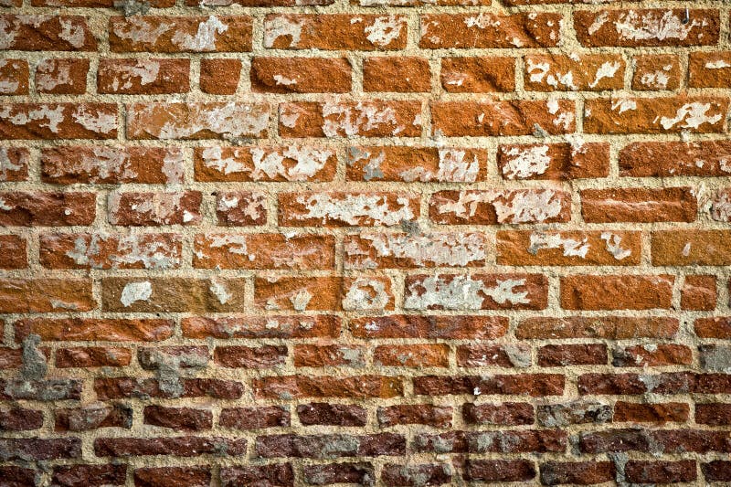 New Orleans French Quarter Brick Wall Editorial Stock Photo Image of