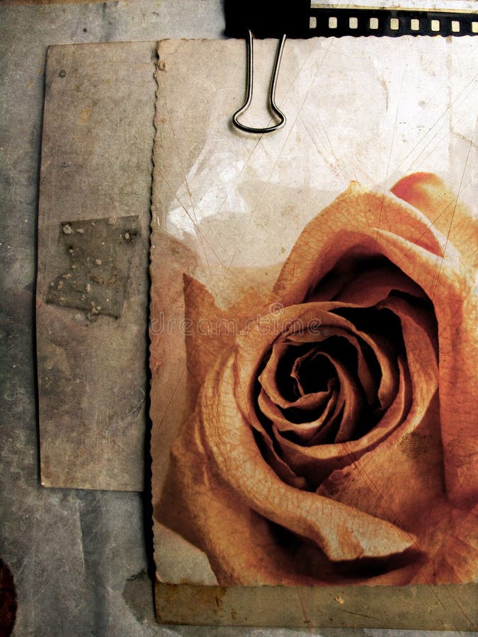 Grunge card with rose no.5