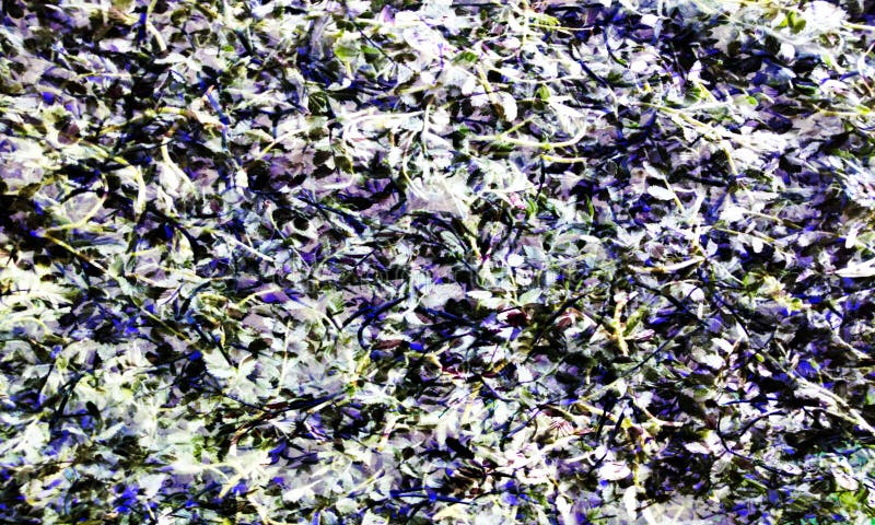 Grunge colorful wall texture with leaf texture of concrete floor background for creation abstract. royalty free stock images