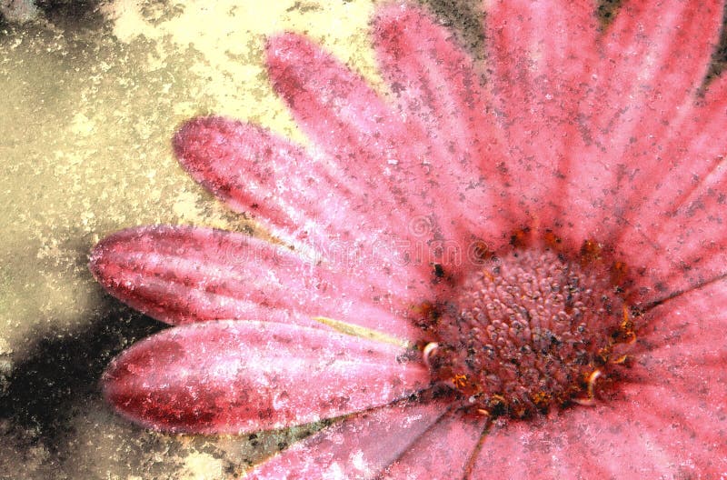 Grunge de fleur photographie stock libre de droits Grunge de fleur photographie stock libre de droits
