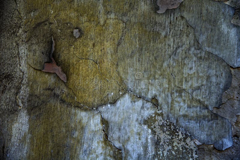 Grunge dirty wall background in various colors. Worn texture stock image