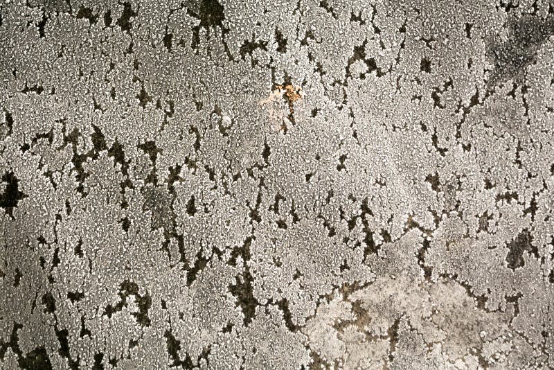 Grunge Ice Surface