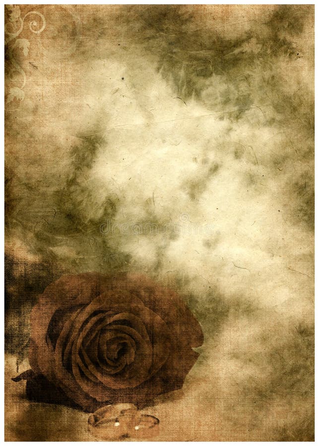 Grunge postcard background with rose