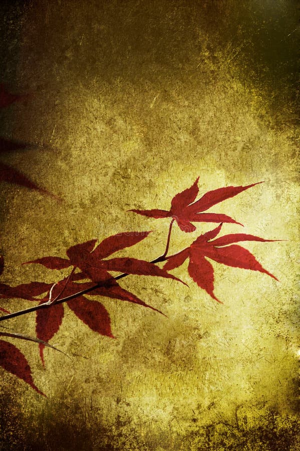 Grunge red leaf