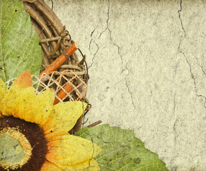 Grunge retro background with sunflower copy space