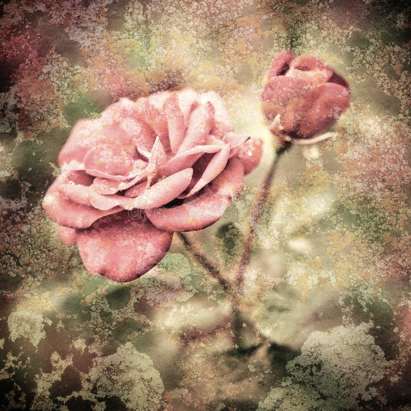 Grunge texture with floral background in vintage style. Romantic