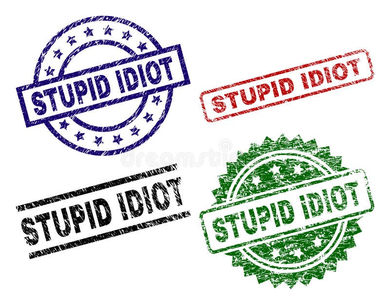 You are an idiot rubber stamp Royalty Free Vector Image