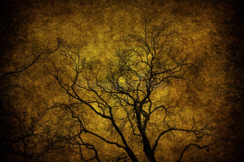 Grunge tree