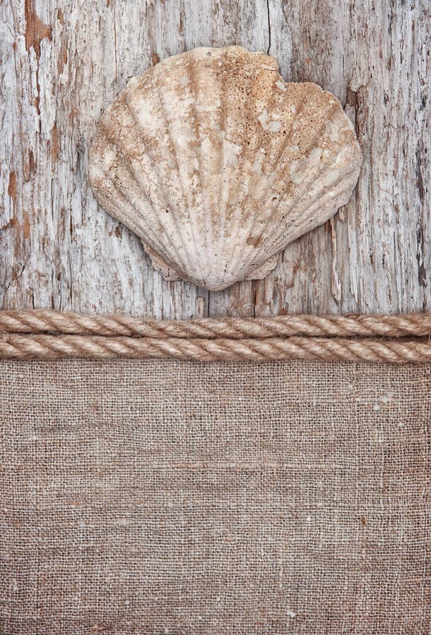 Grunge tło z dużym seashell, arkana na parciaku zdjęcie stock