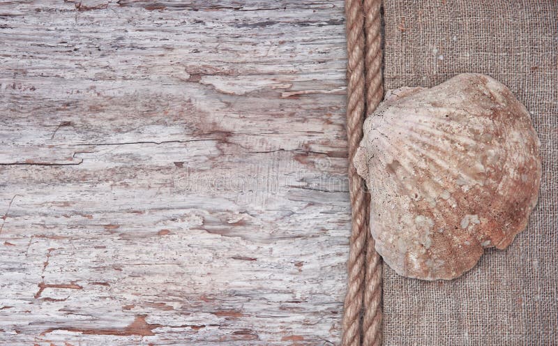 Grunge tło z seashell, arkana na parciaku zdjęcia stock