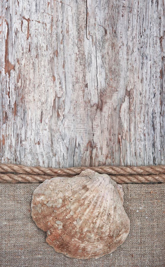 Grunge tło z seashell, arkana na parciaku fotografia stock